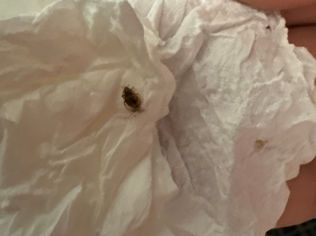 La Quinta Inn By Wyndham West Long Branch主图