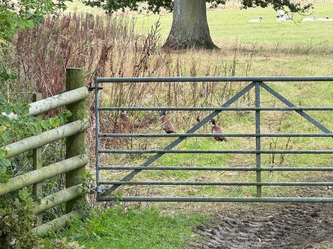 Heart of England Way-莫顿因马什必去景点
