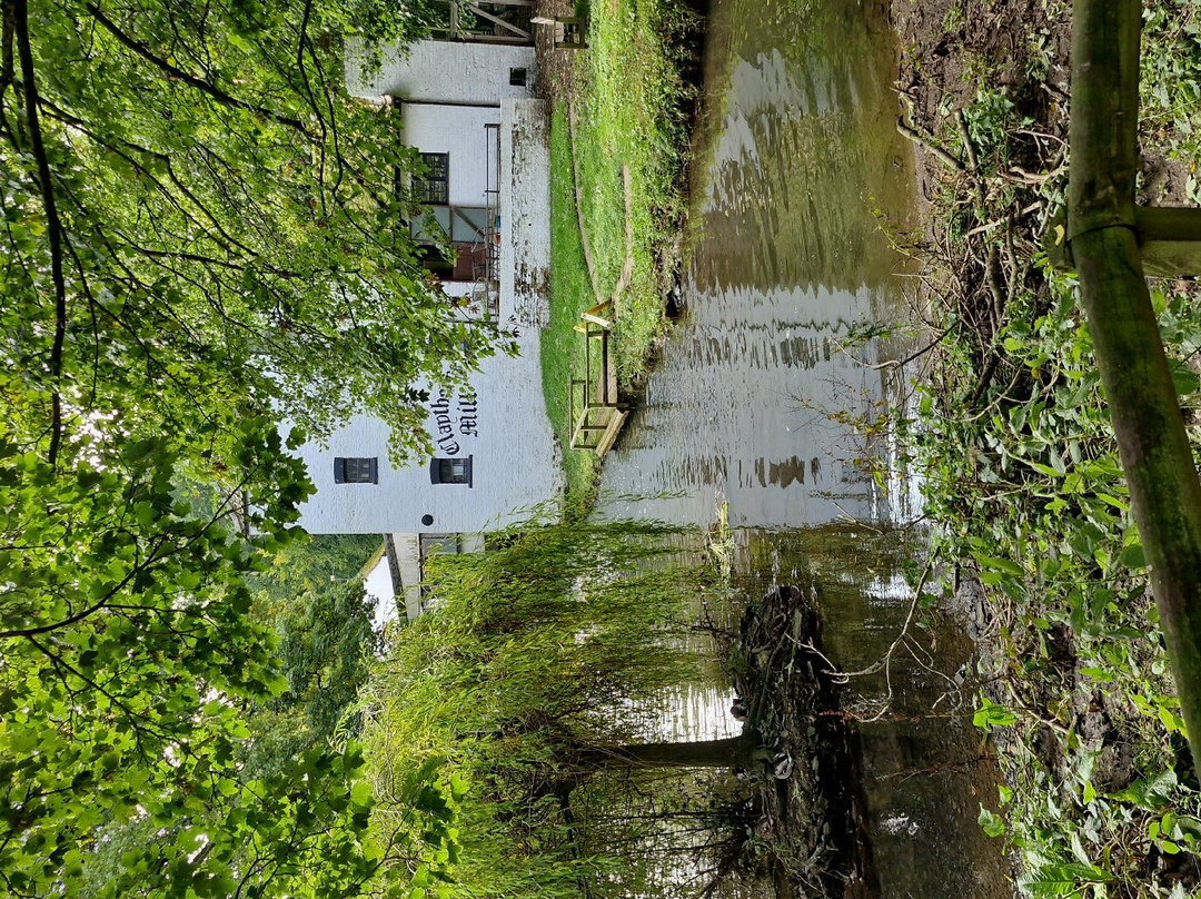Claythorpe Watermill-Claythorpe必去景点