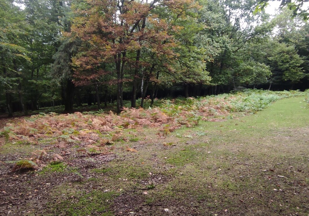 Parc Naturel de Chambaran-Saint-Pierre-de-Bressieux必去景点