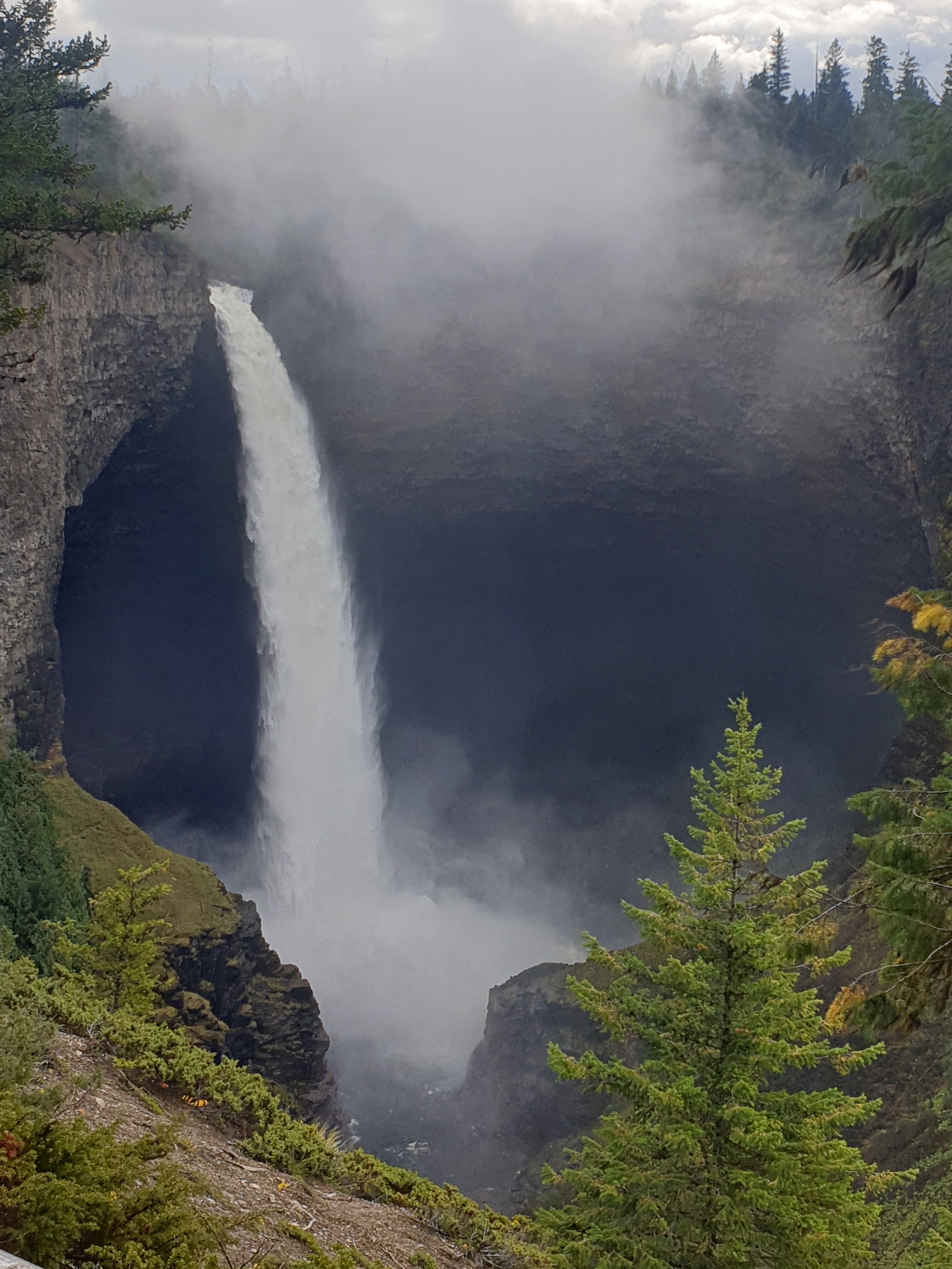 Best Western Plus Gateway To The Falls-官方