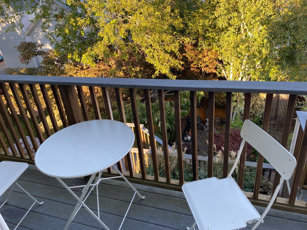 Northey Street House主图