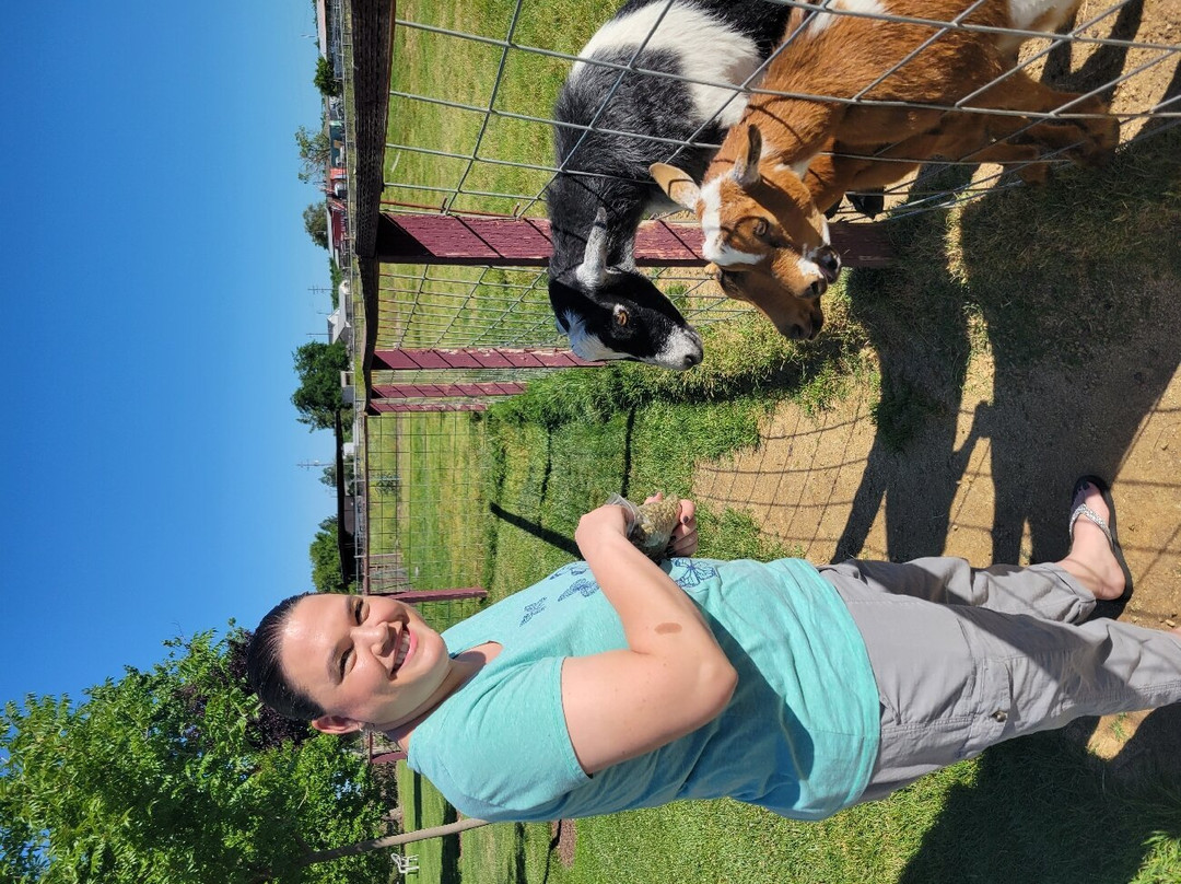 Oakdale Cheese & Specialties-奥克戴尔必去景点