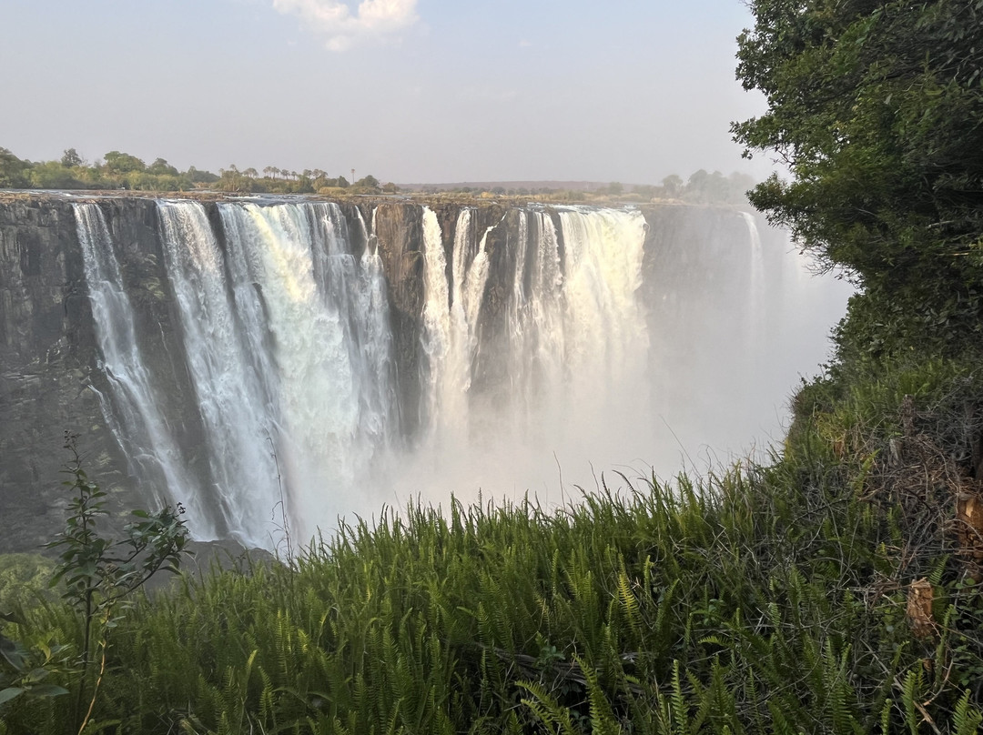 Savanna Safaris and Tours景点图片