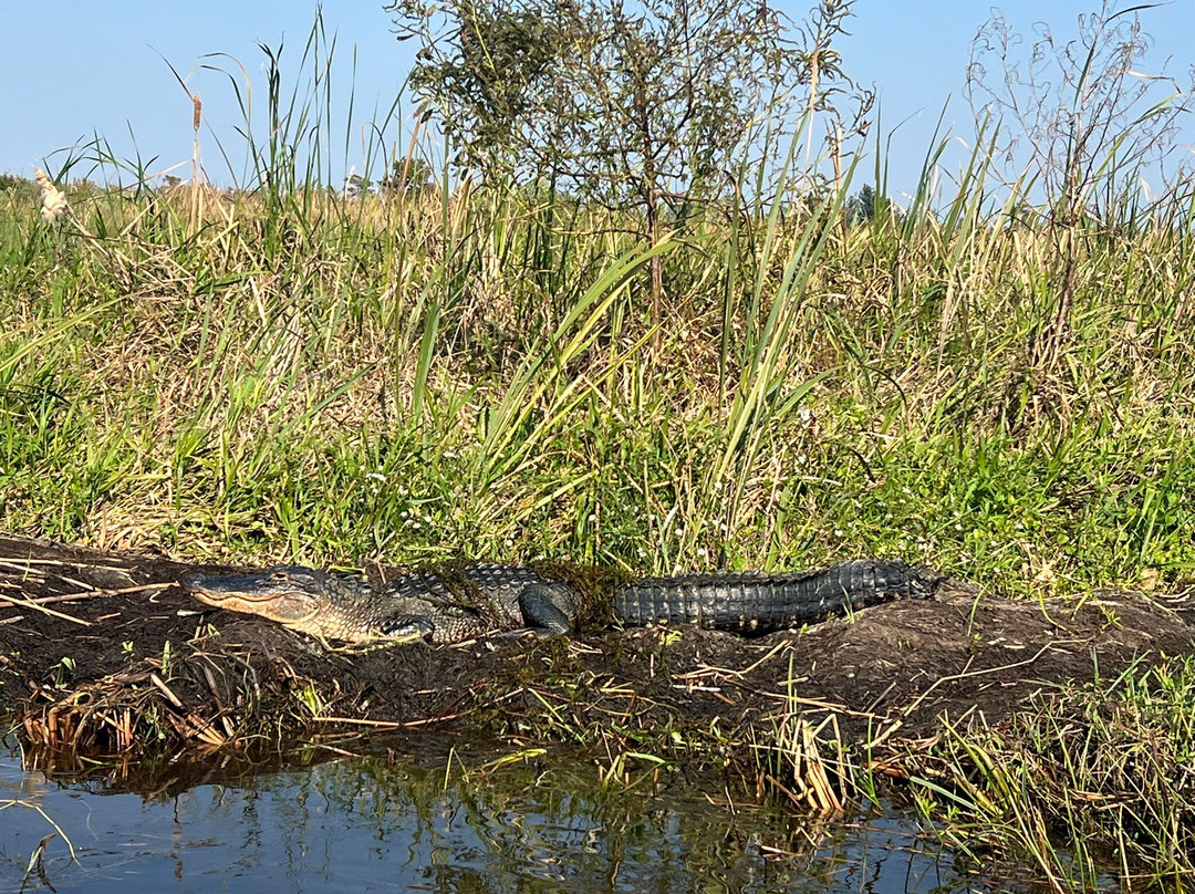 Airboat Express - Tours-Spanish Fort必去景点