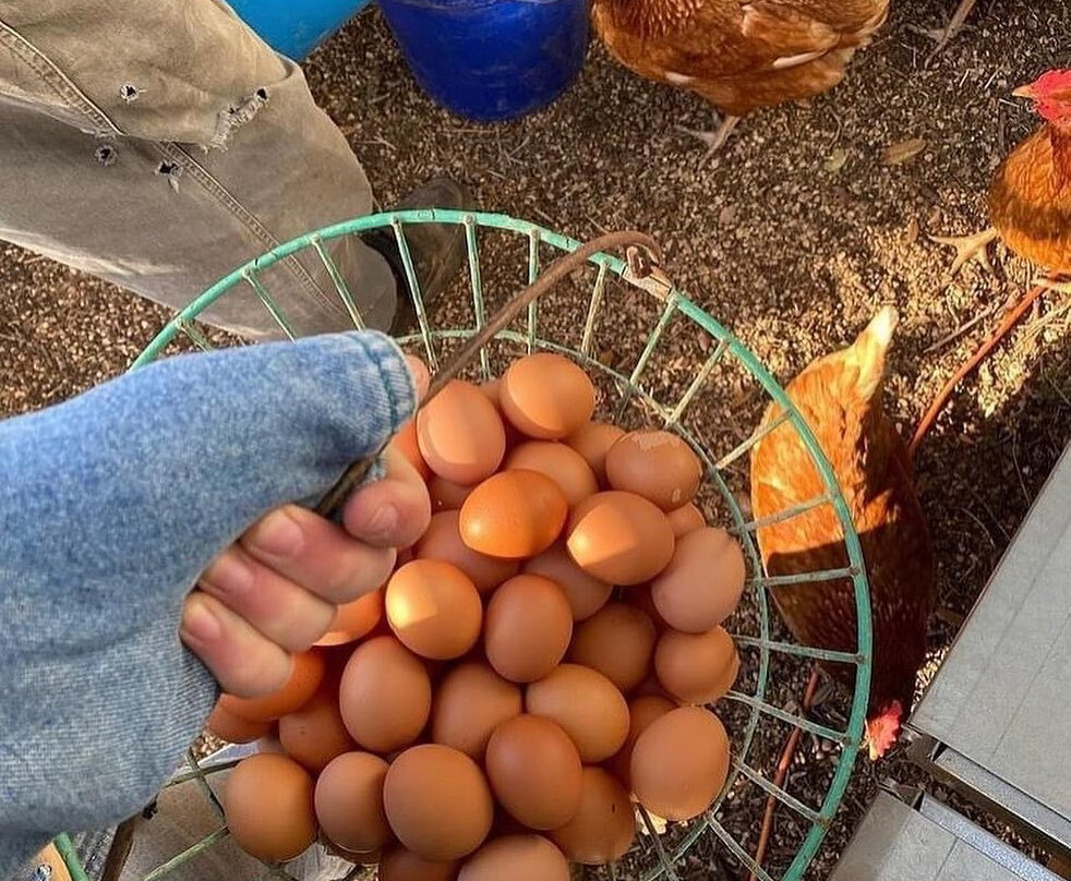 Pedernales Farmers Market-Spicewood必去景点