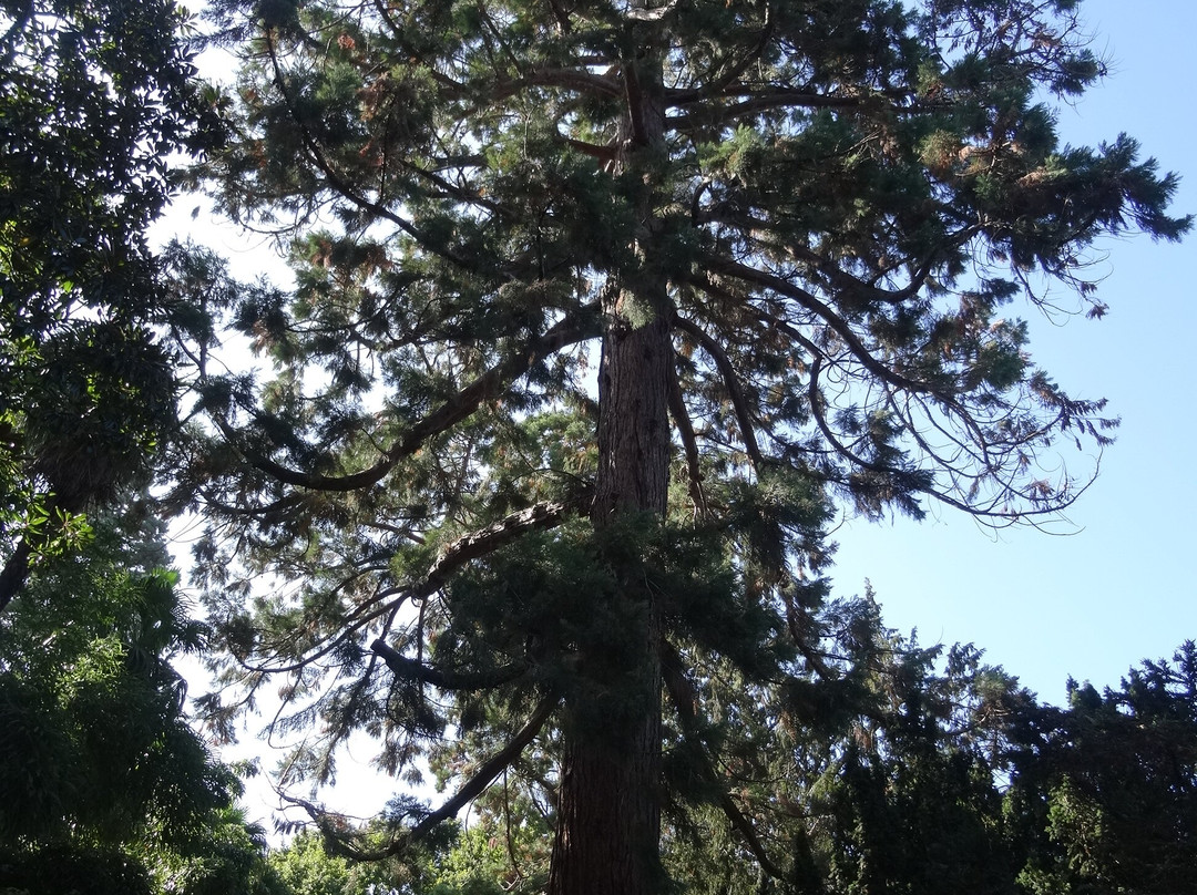 Parc de l'Arboretum-昂热必去景点