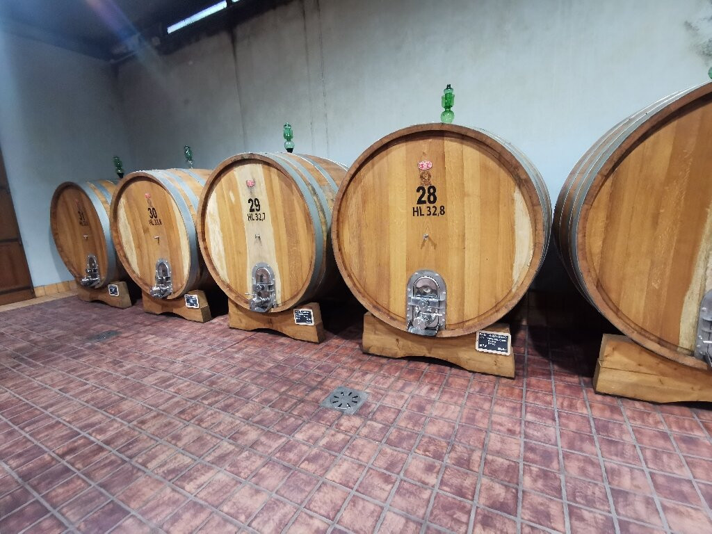Tenuta Fanti景点图片