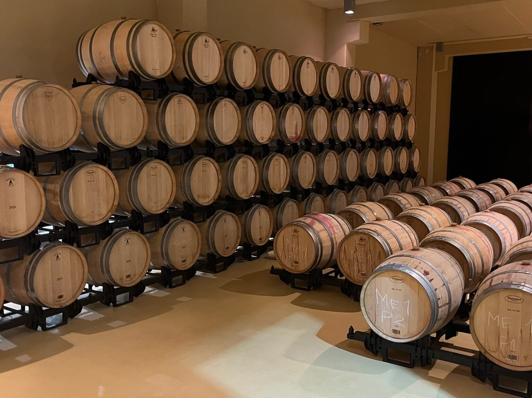 Weingut Vallegarcia景点图片