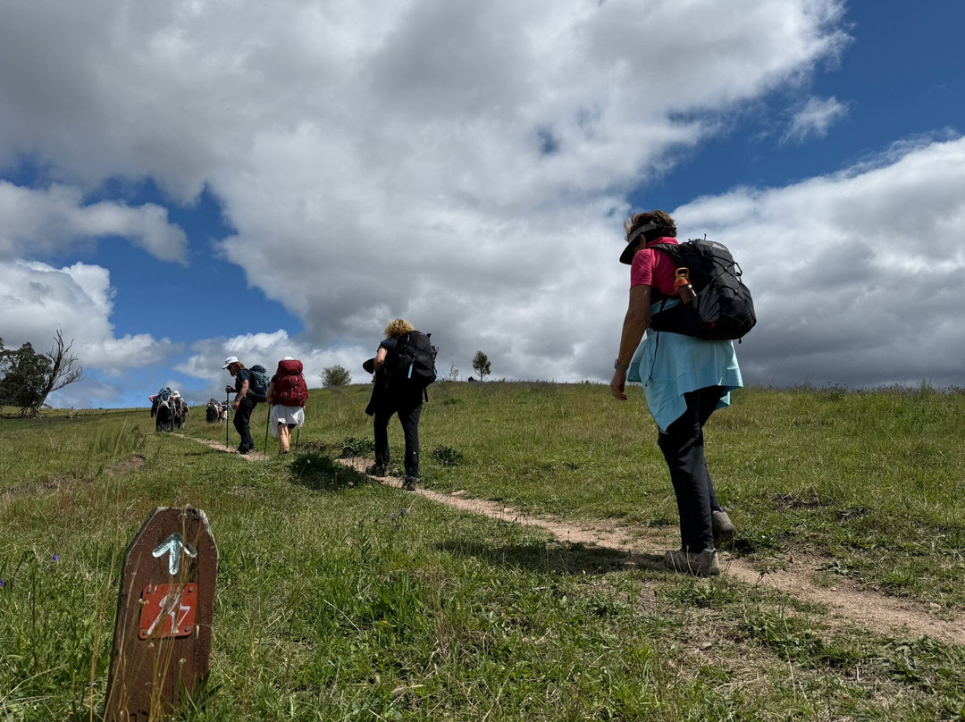 Emu Trekkers-悉尼必去景点