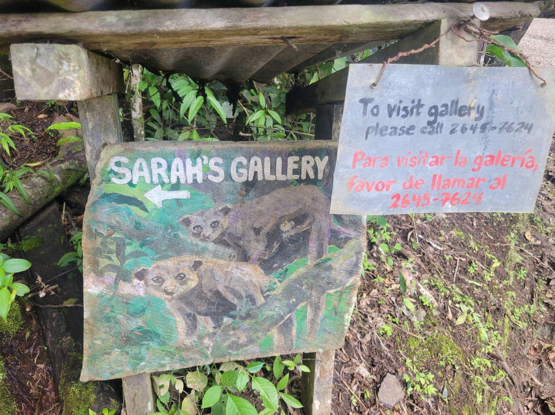 Sarah's Gallery景点图片