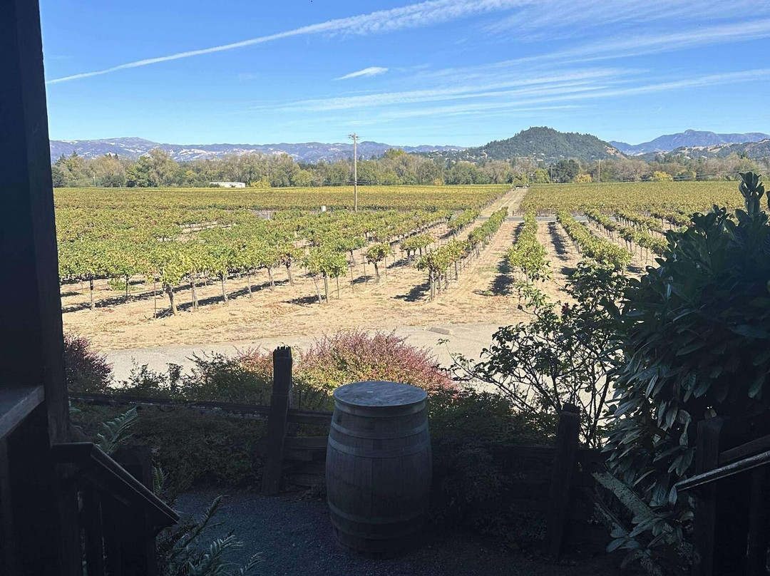 Platypus Wine Tours-索诺玛必去景点