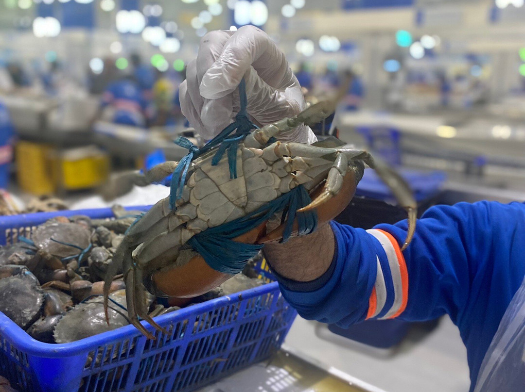 Dubai Deira Fish Souk-迪拜必去景点