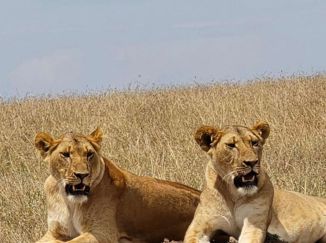 Sailepu Safari Adventures-南由基必去景点