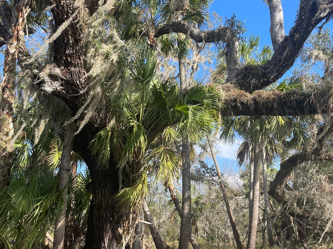 Up River Adventures-阿卡迪亚必去景点