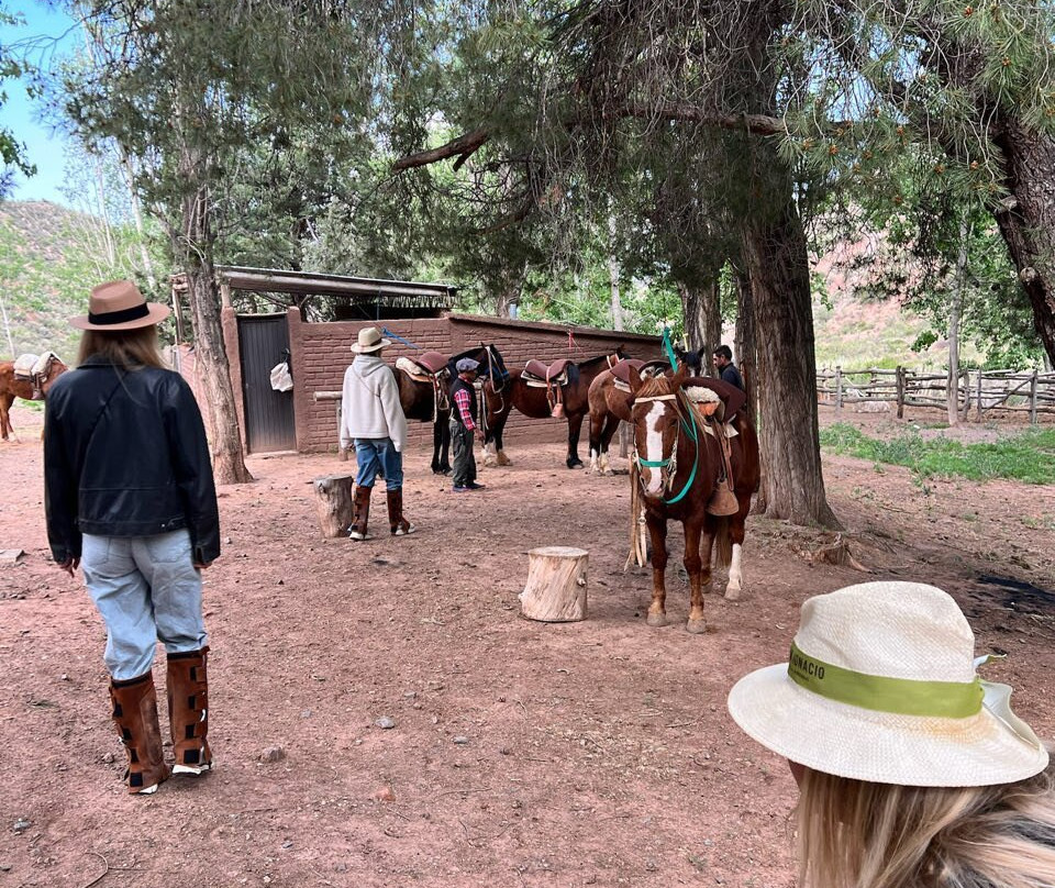 San Ignacio Estancia Andina主图