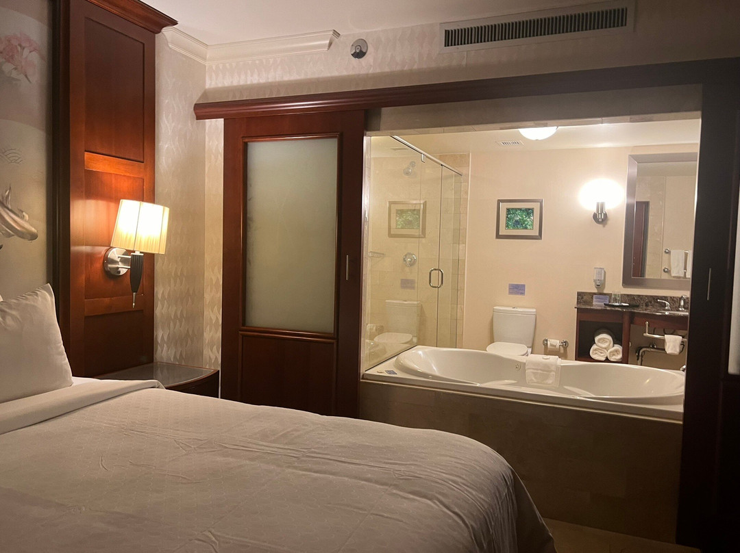 Viana Hotel and Spa, Trademark Collection by Wyndham主图