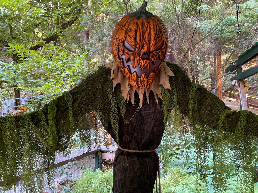 神秘点-圣克鲁斯必去景点