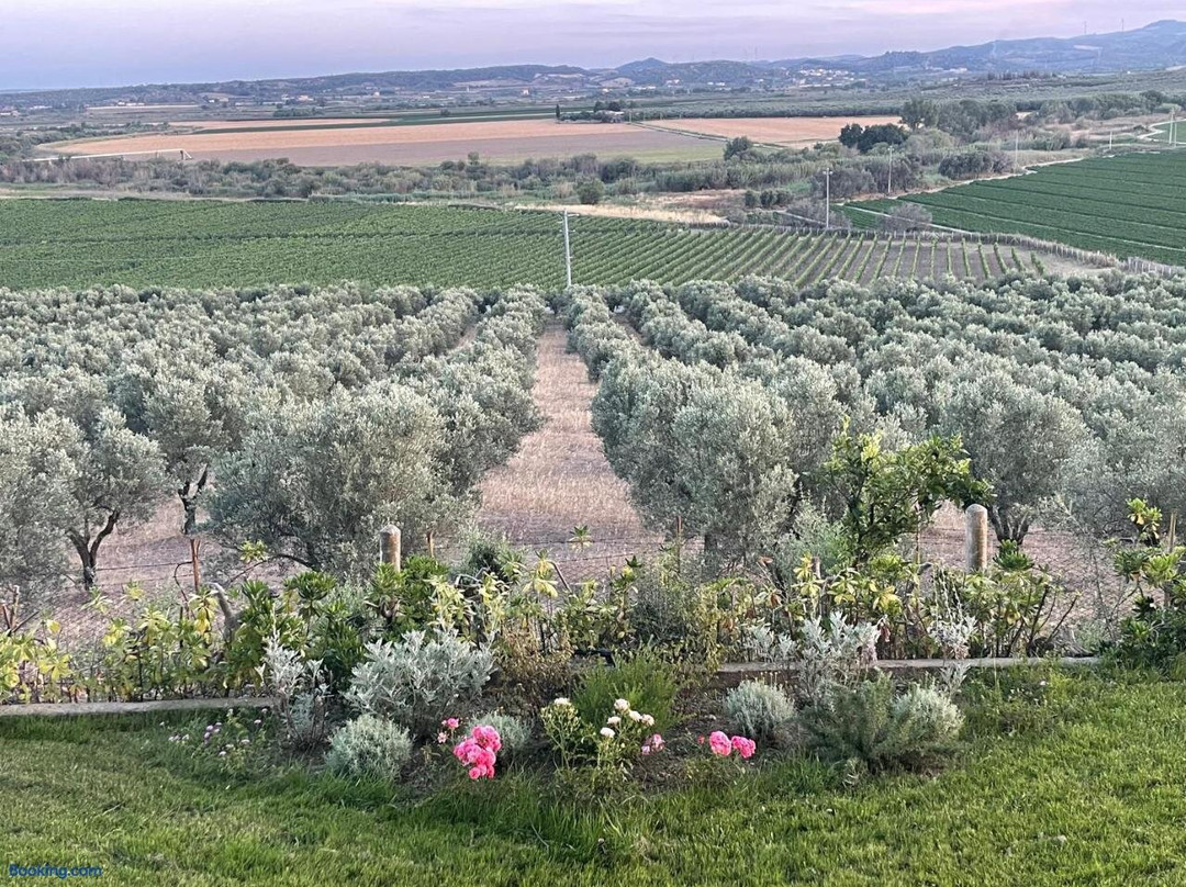 Agriturismo La Pizuta del Principe