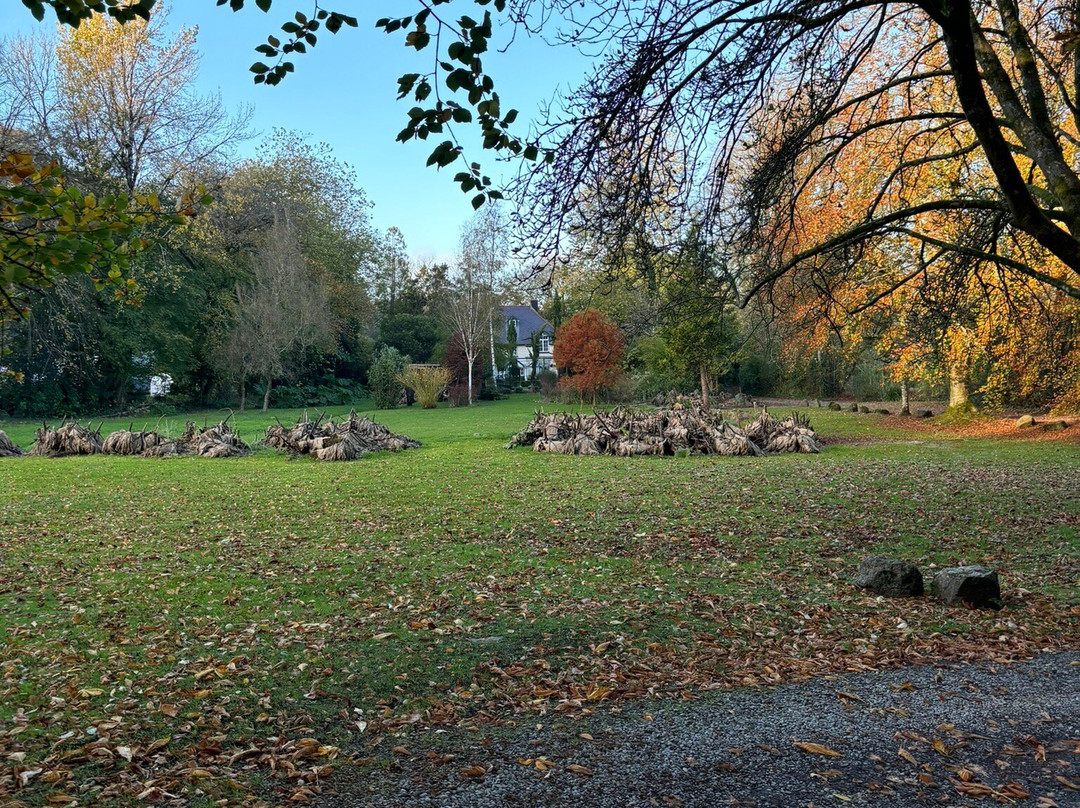 The Cors Country House主图