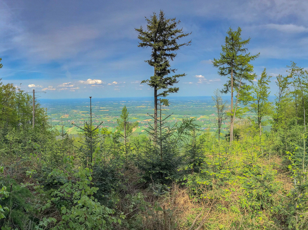 Punkt Widokowy Bukowski Groń-Porabka必去景点