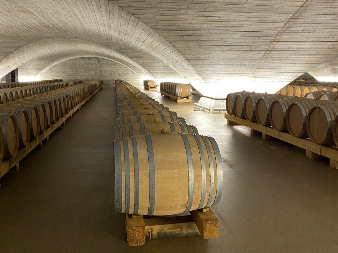 Azienda Agricola Vie di Romans景点图片