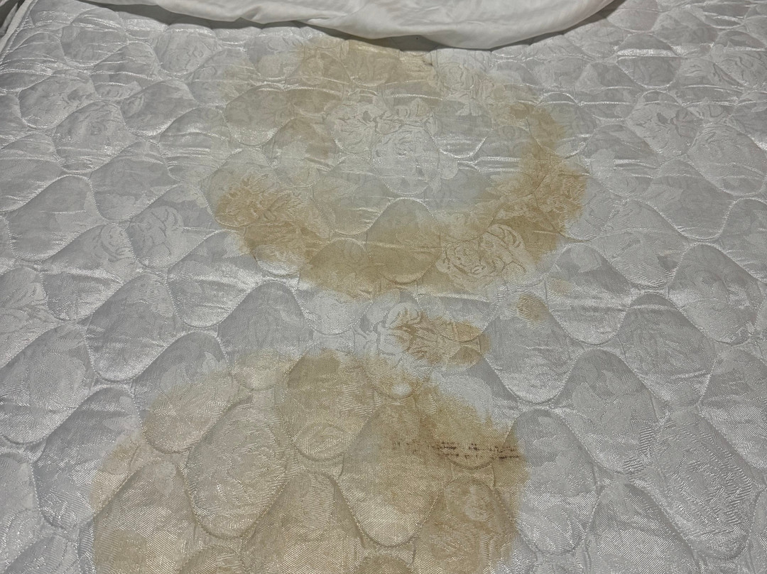 La Quinta Inn & Suites By Wyndham主图