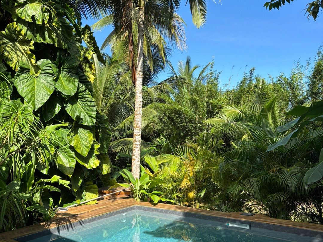 Aponi Massages Bien-être Et Spa-Goyave必去景点