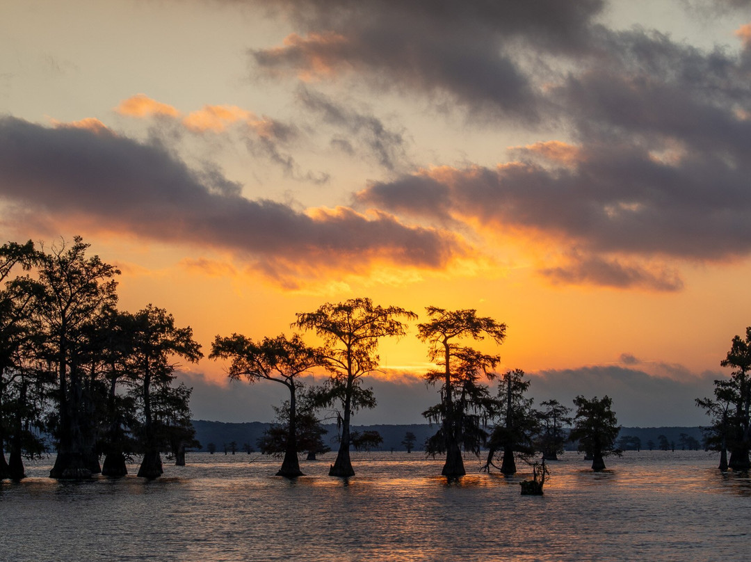 Caddo Lake Bayou Tours-Uncertain必去景点