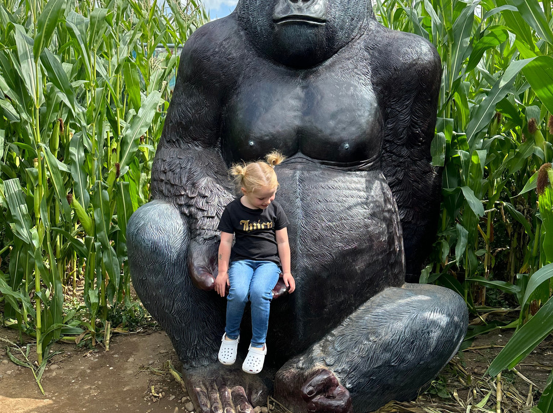 Fantasy Farm-Heather必去景点