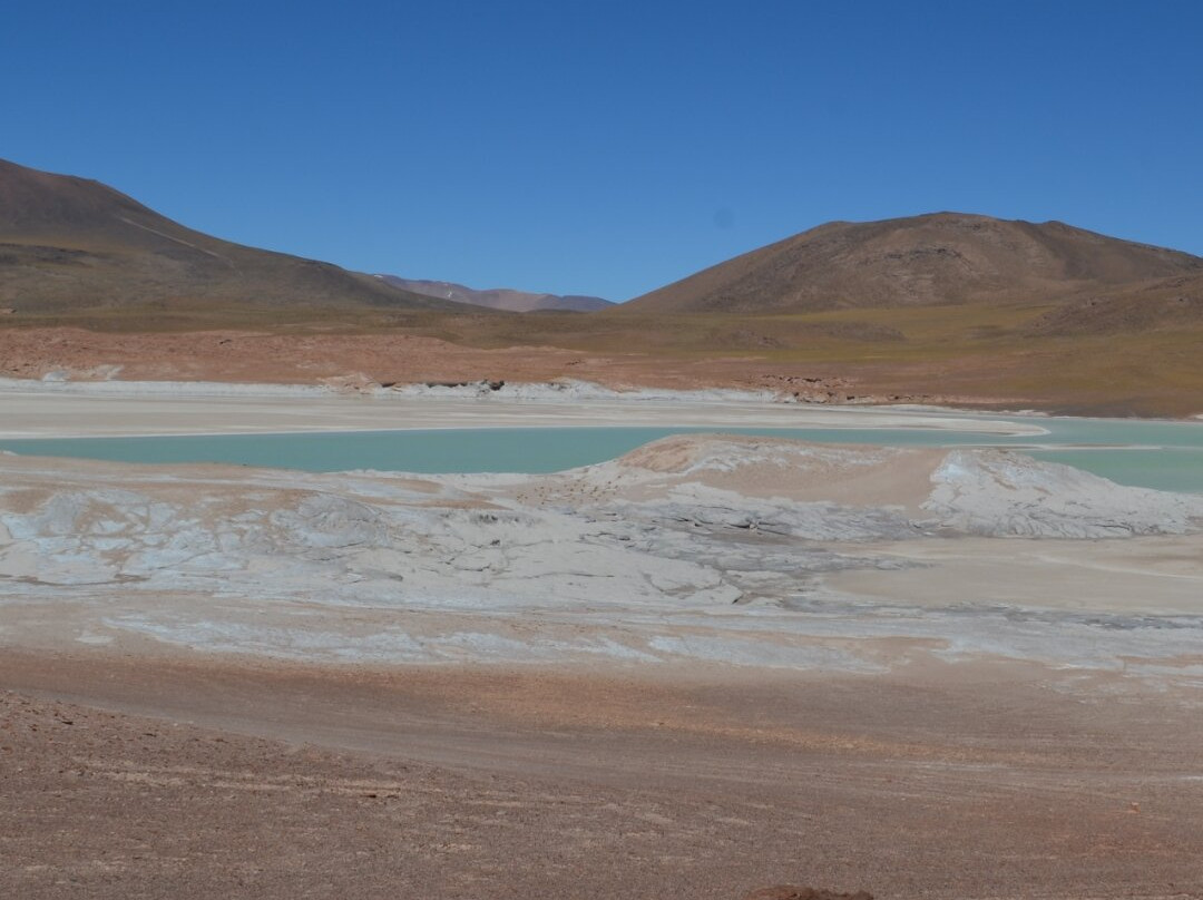 Lagunas Altiplanicas-圣佩德罗-德阿塔卡马必去景点