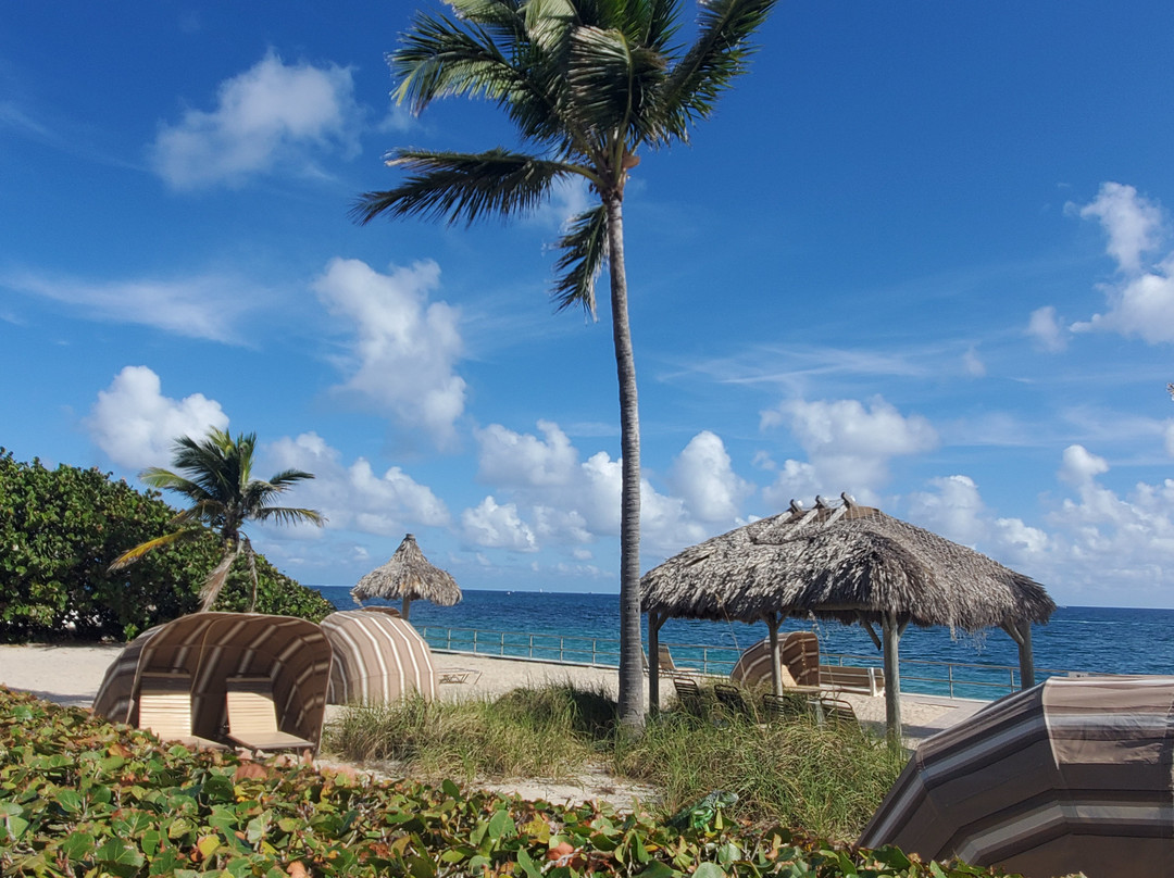 Royal Flamingo主图