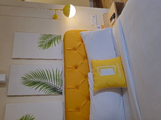 Bloom Hotel - Jammu主图