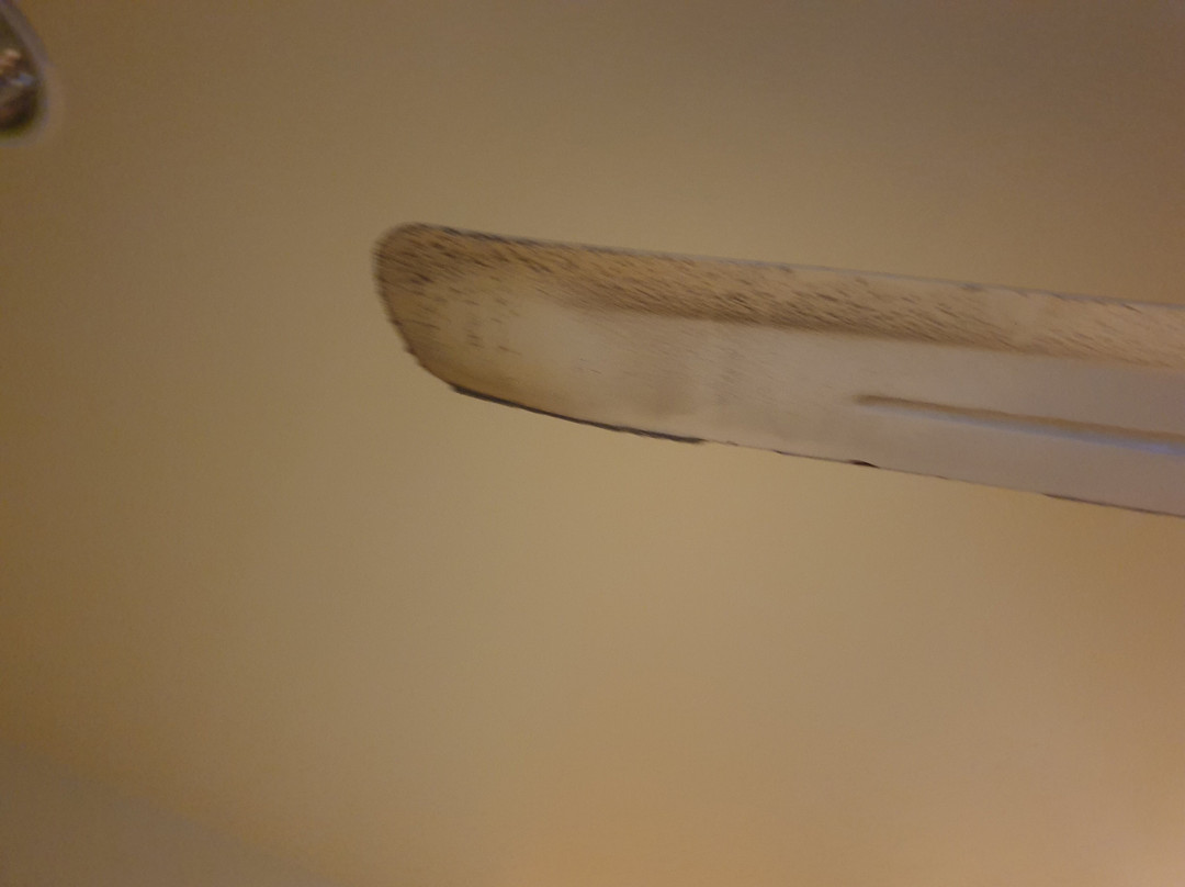 欧佩普莱斯酒店主图