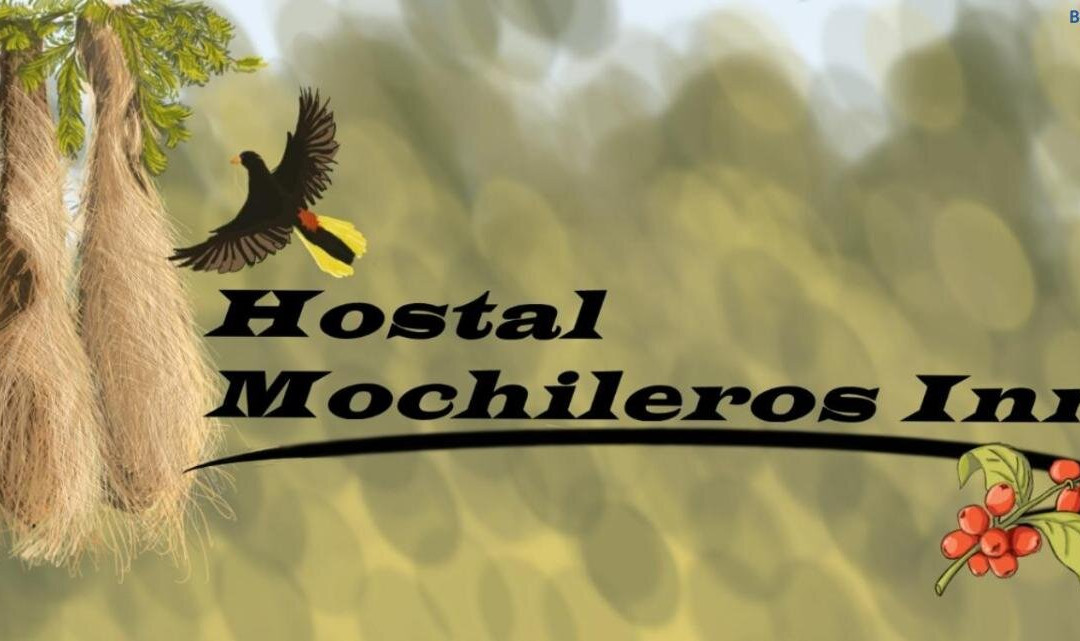 Hostal Mochileros Inn