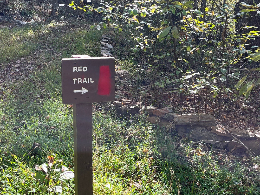 Siegen Forest景点图片