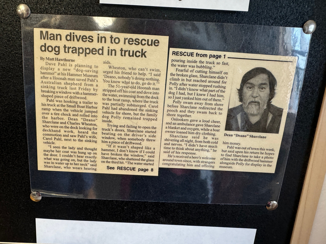 Hammer Museum-海恩斯必去景点