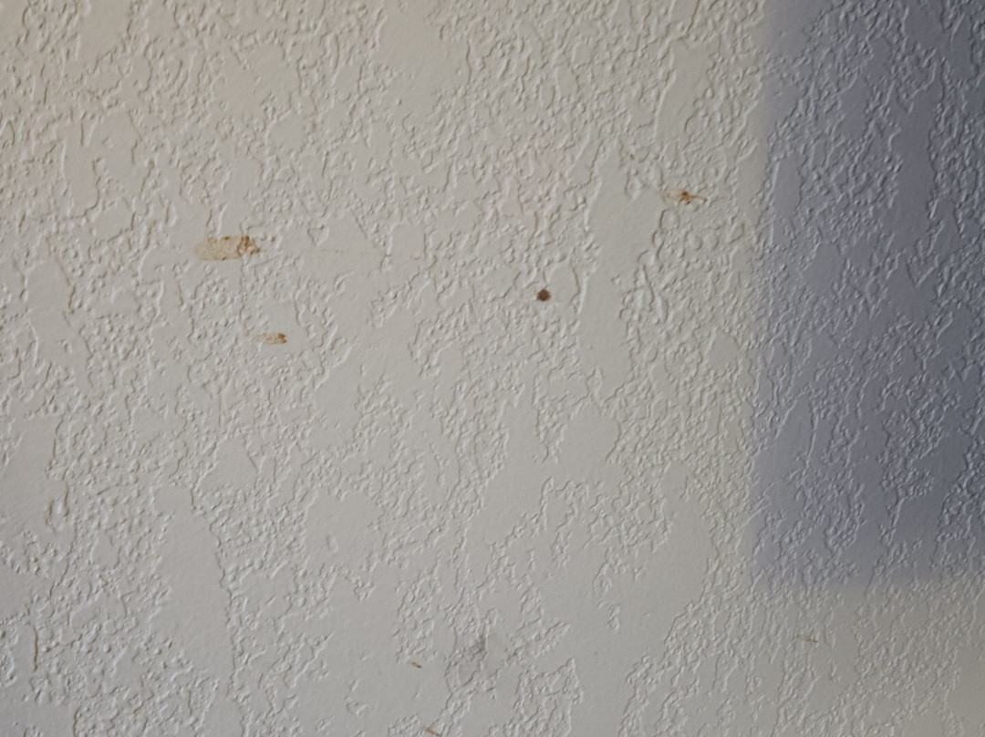 Days Inn by Wyndham Regina主图