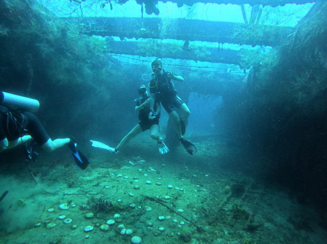 Dushi Diving-威廉斯塔德必去景点