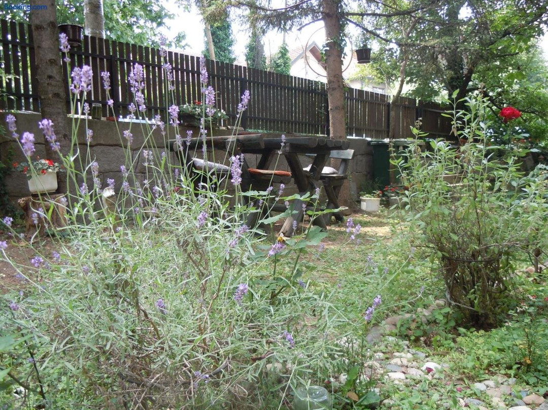 Apartmani Sobe Biljana