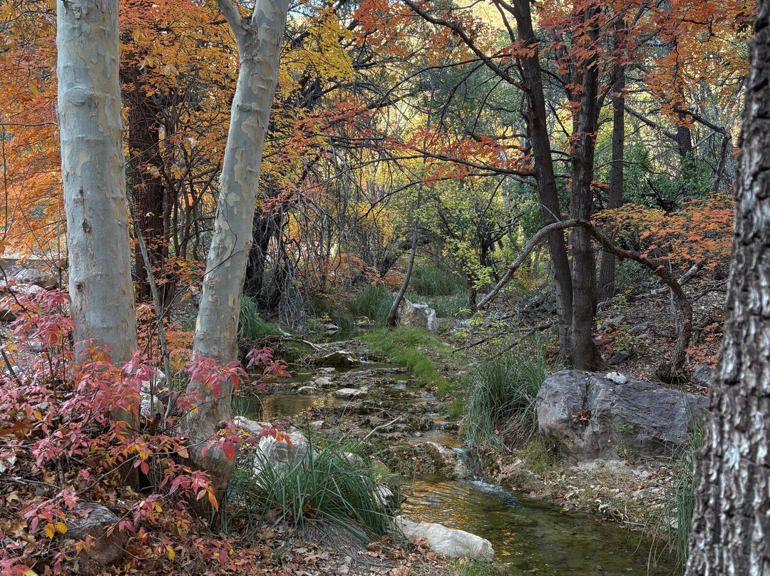 Garden Canyon景点图片