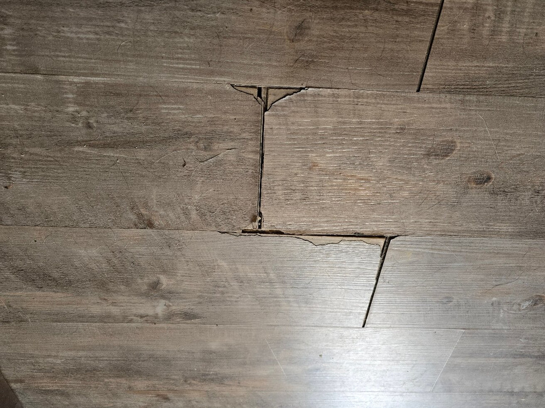 Super 8 by Wyndham Elizabethtown主图