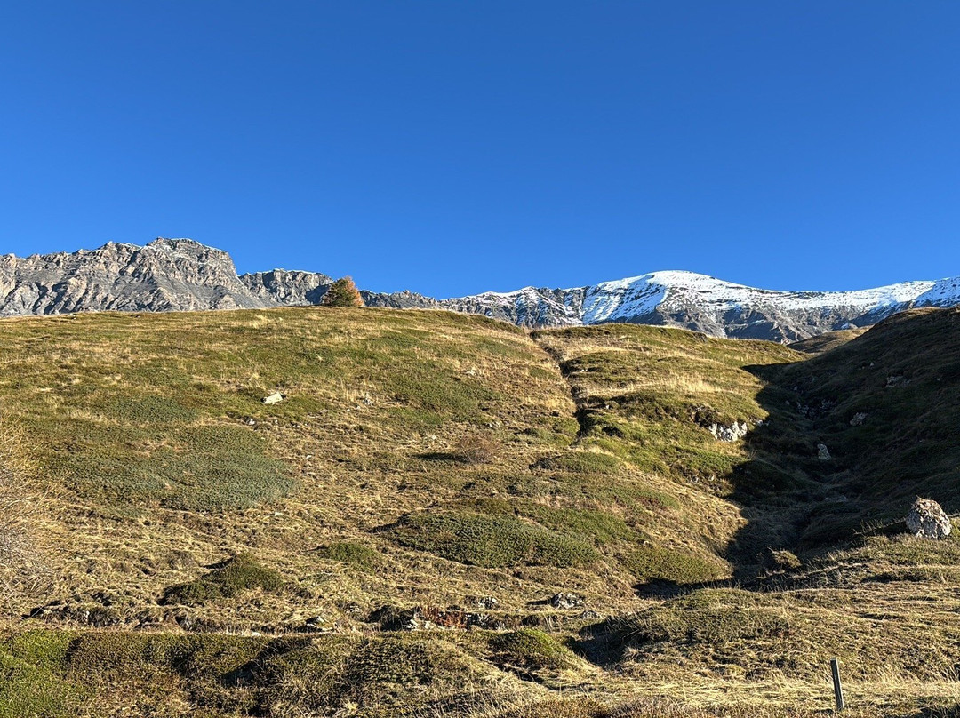Lac du Mont-Cenis景点图片