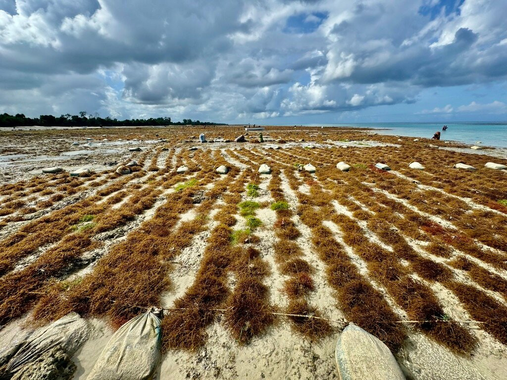 The Aiyana Resort & Spa主图