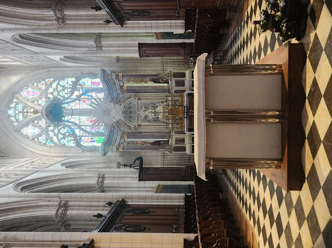 La Cathédrale Notre-Dame de l'Assomption景点图片