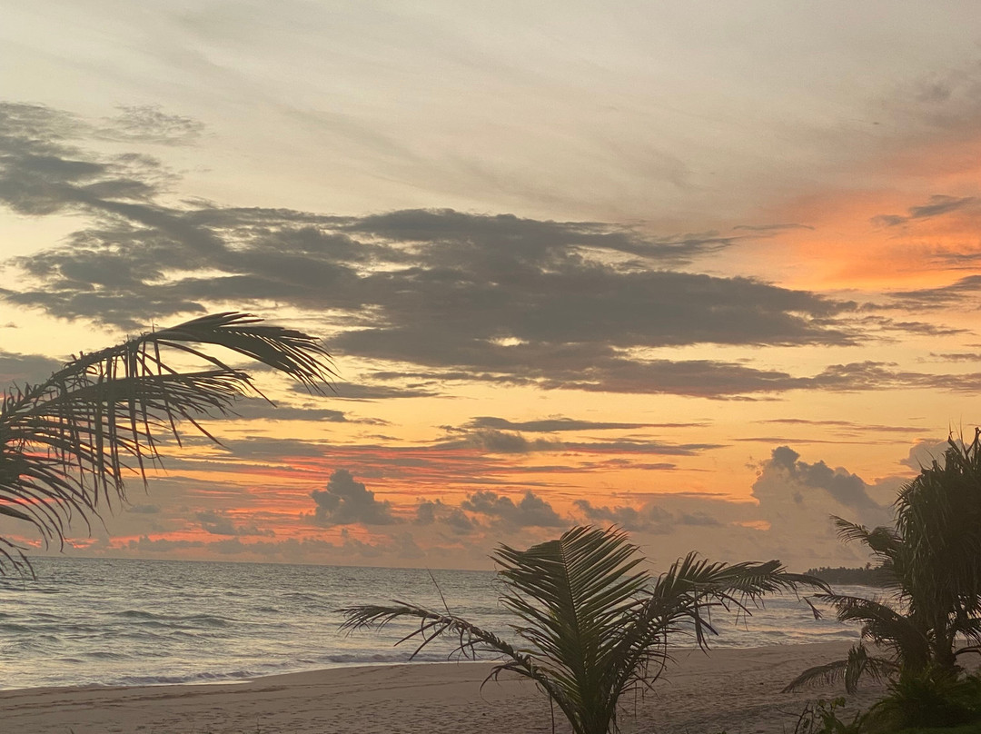 长滩度假村主图