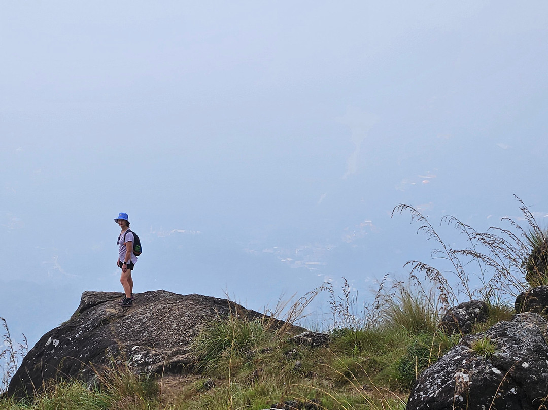 Munnar Nature Trekking Adventures景点图片