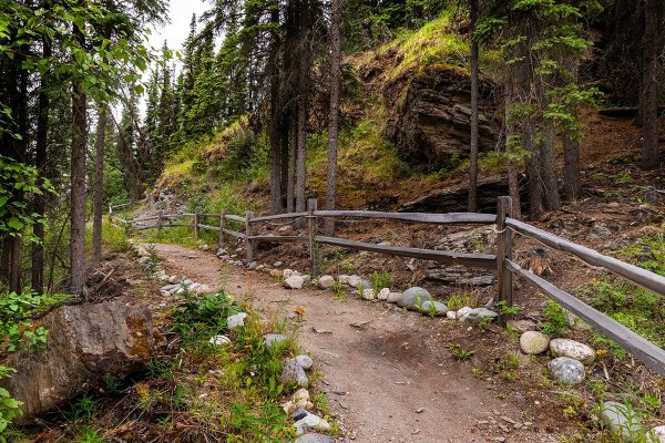 迪纳利乌鸦小巢假日公园-浴室