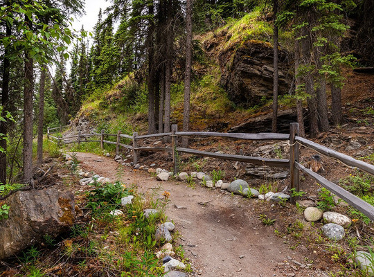 迪纳利乌鸦小巢假日公园主图