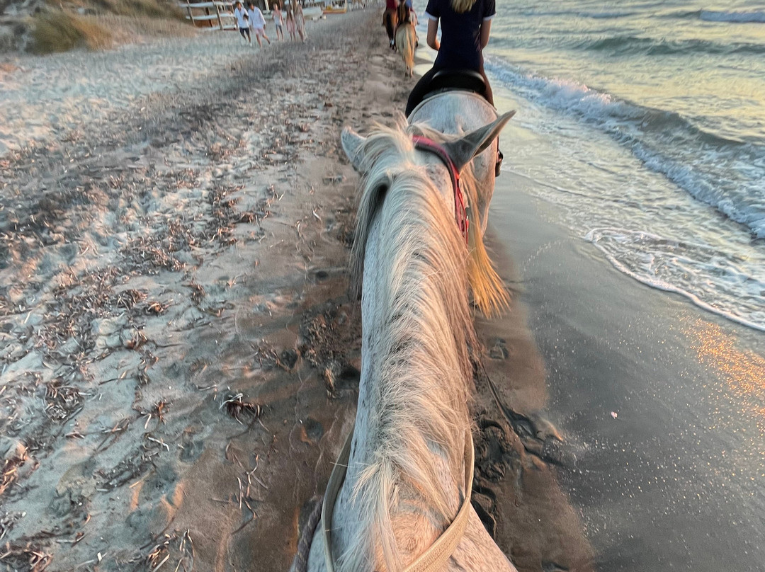 The Ranch Kos Horse Riding景点图片
